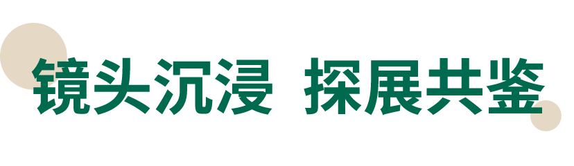 44.png