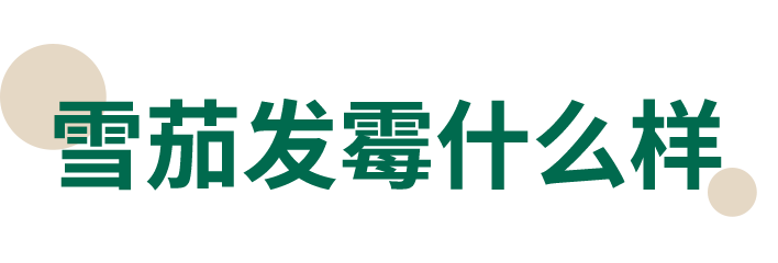 13.png