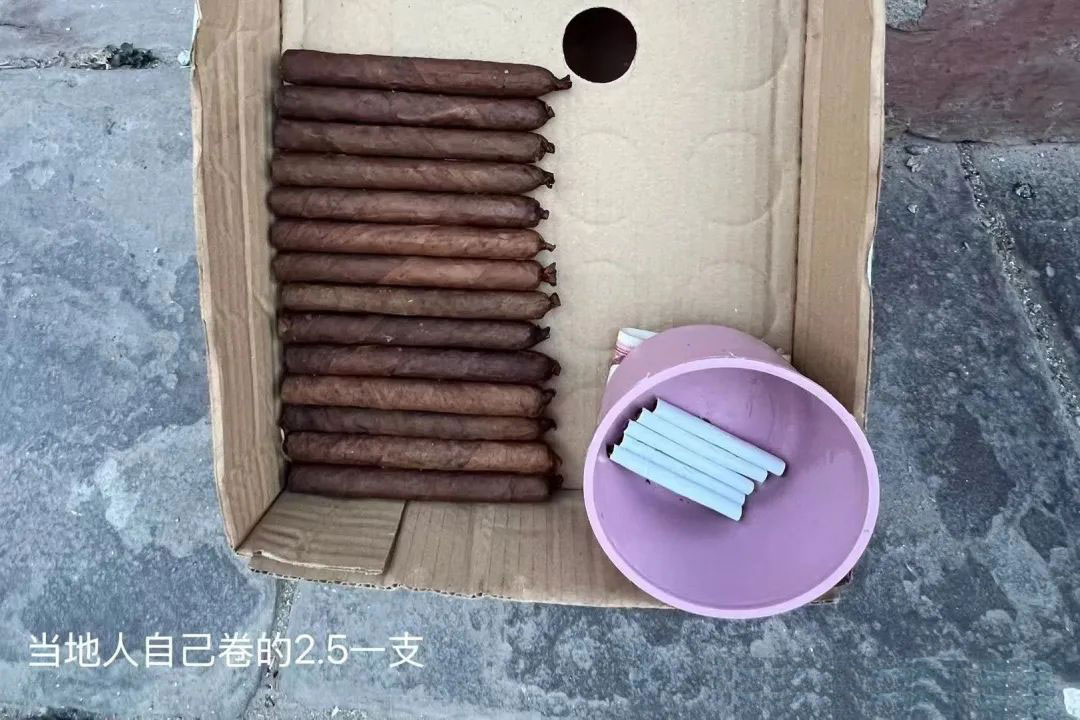 613.jpg
