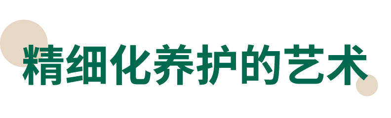 13.png