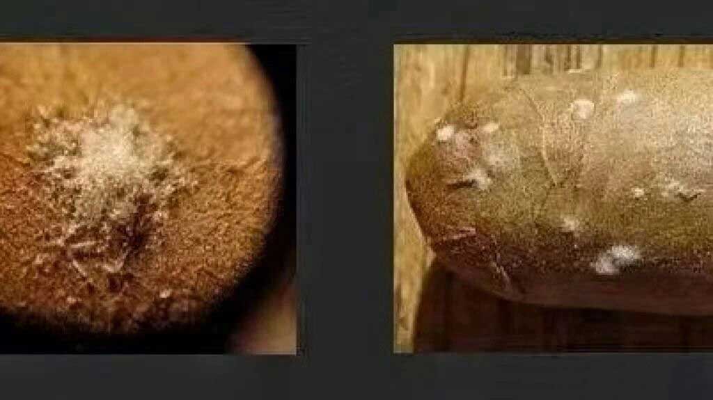 1761804014445642.jpg 23.jpg