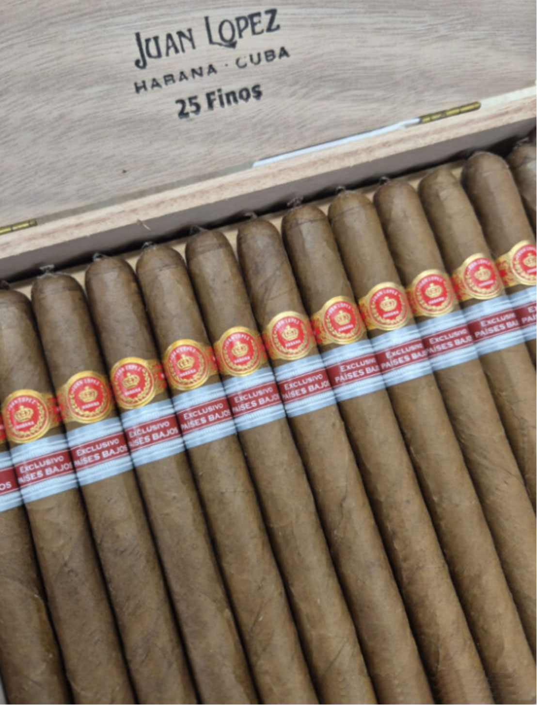 1762310358497540.jpg 42.jpg