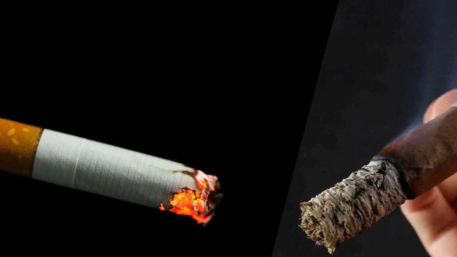 1765182213617441.jpg 43.jpg