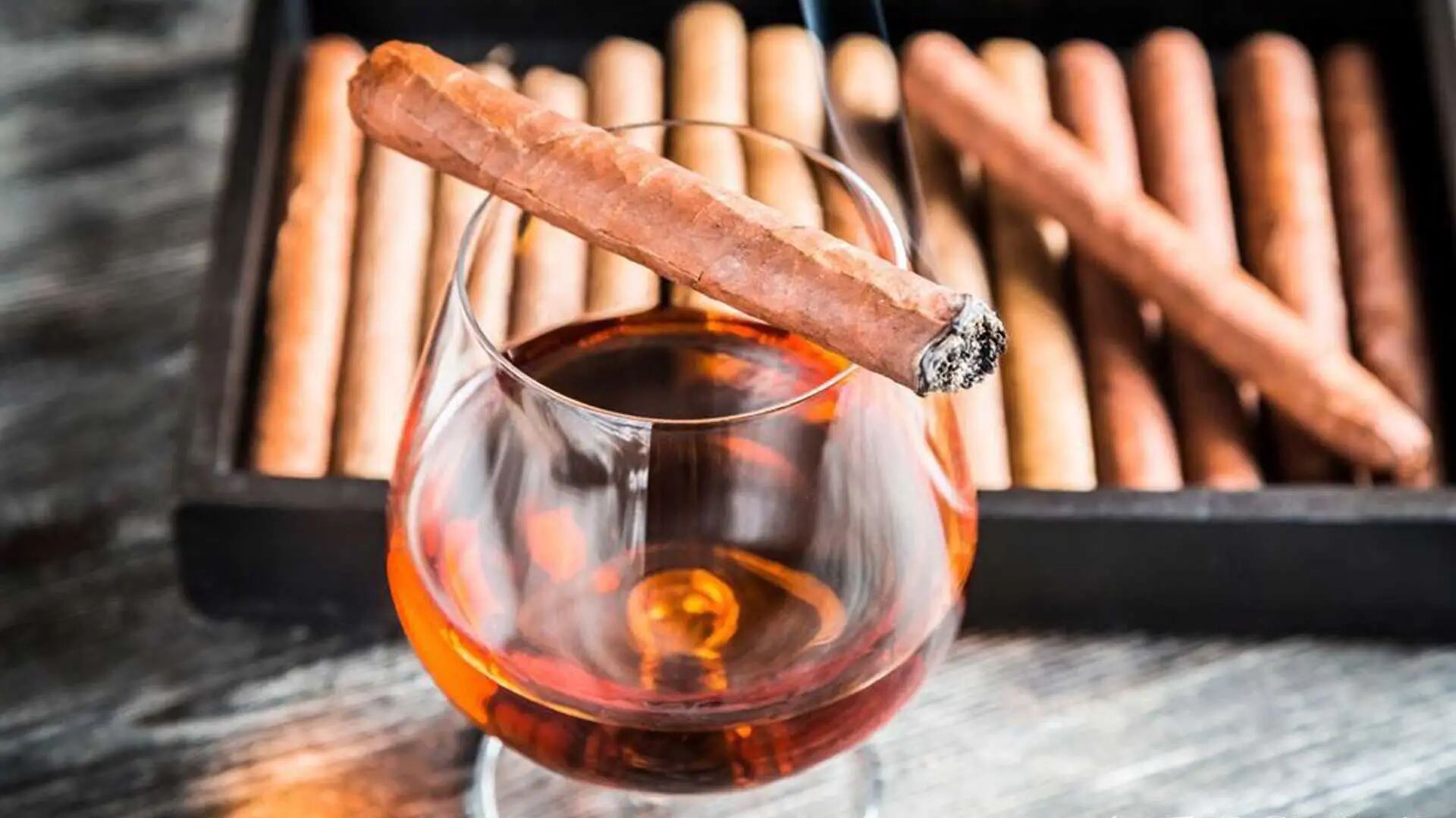 1767513581338882.jpg 42.jpg