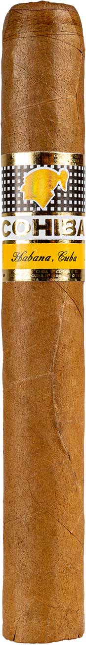 1772161932148182.jpg 46.jpg