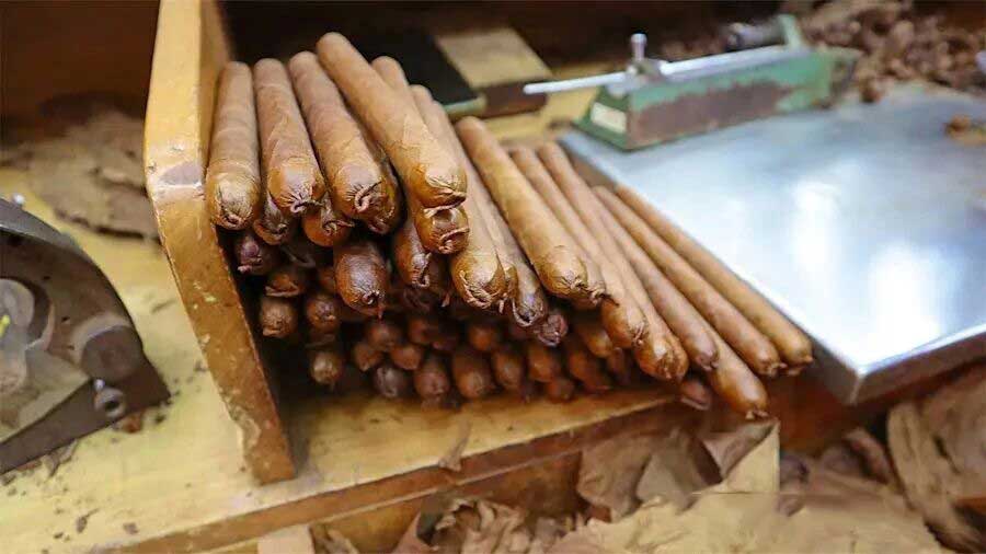 1772508789708184.jpg 311.jpg