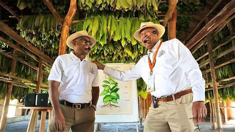 1772508833463747.jpg 36.jpg