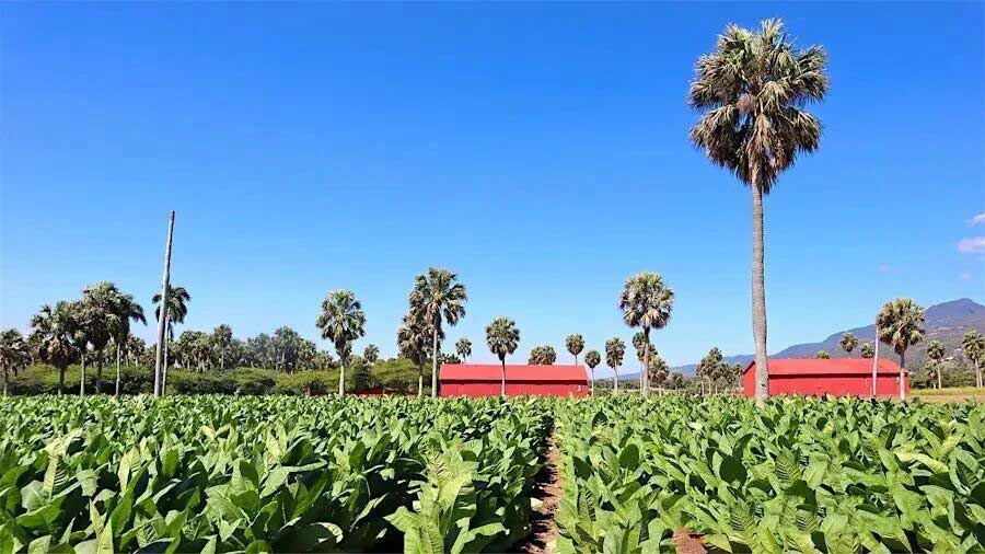 1772508842152200.jpg 35.jpg