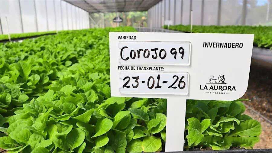 1772508849995259.jpg 34.jpg