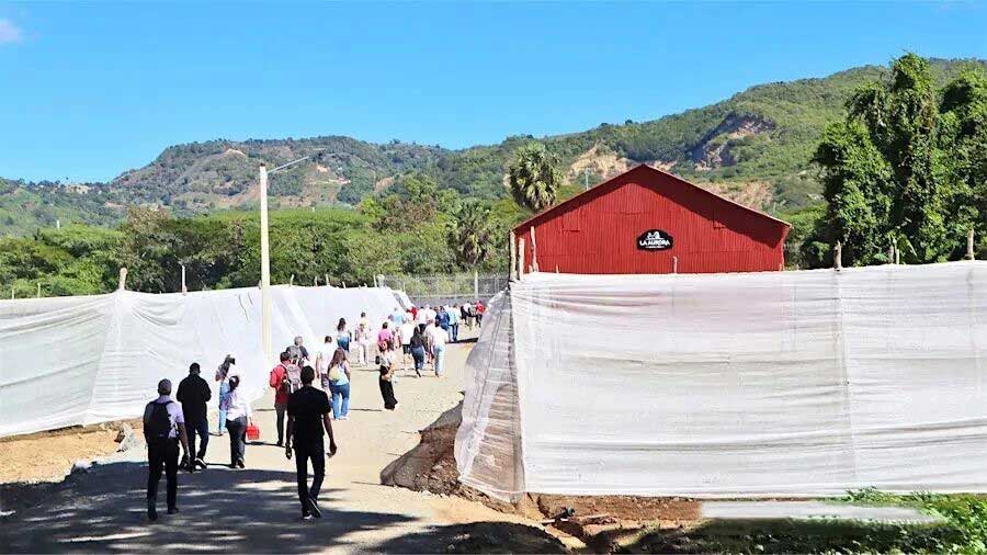 1772508866626691.jpg 32.jpg