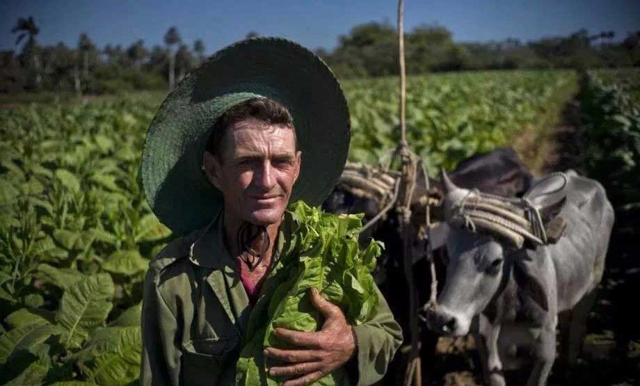 1774248851513943.jpg e962cf53-e33b-4a80-84f2-68f7935620e6.jpg