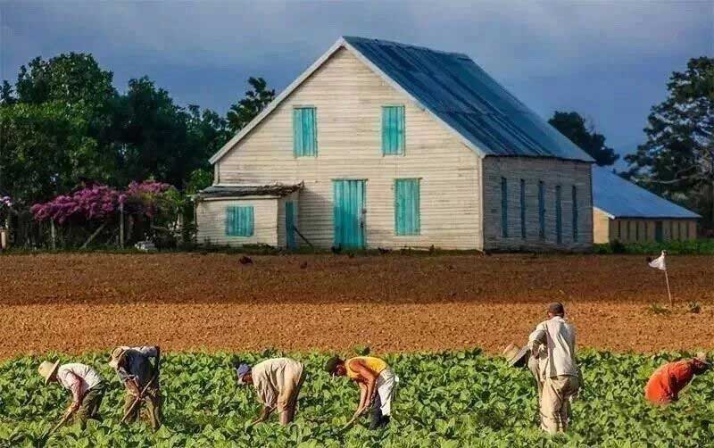 1774248894646322.jpg 2-5.jpg