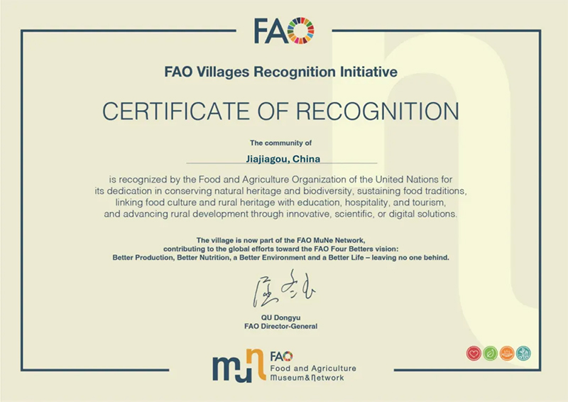 119.jpg